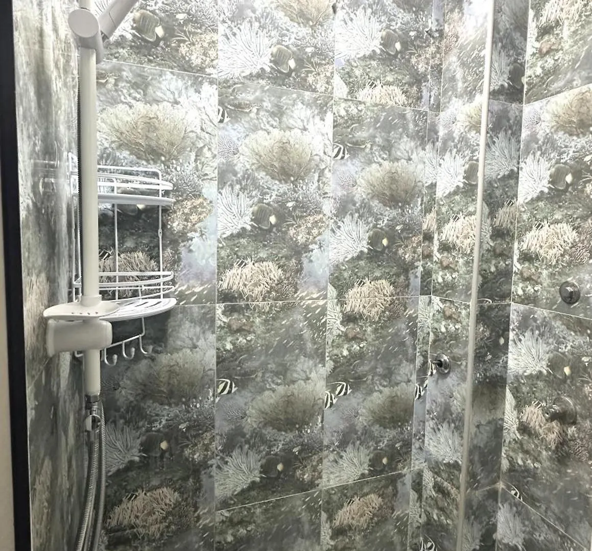 Apartment Old City Nizami Baku Azerbaijan